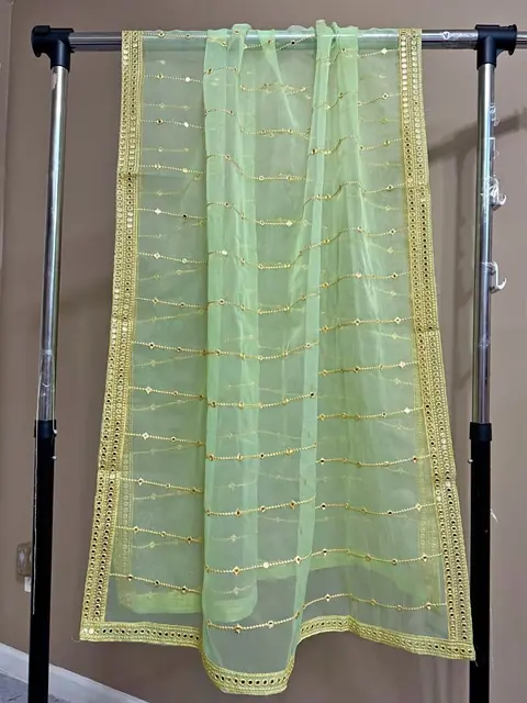 Green Organza Embroidered Fancy Dupatta / Shawl